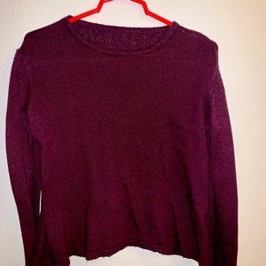 Brandy Melville Maroon Cropped Sweater